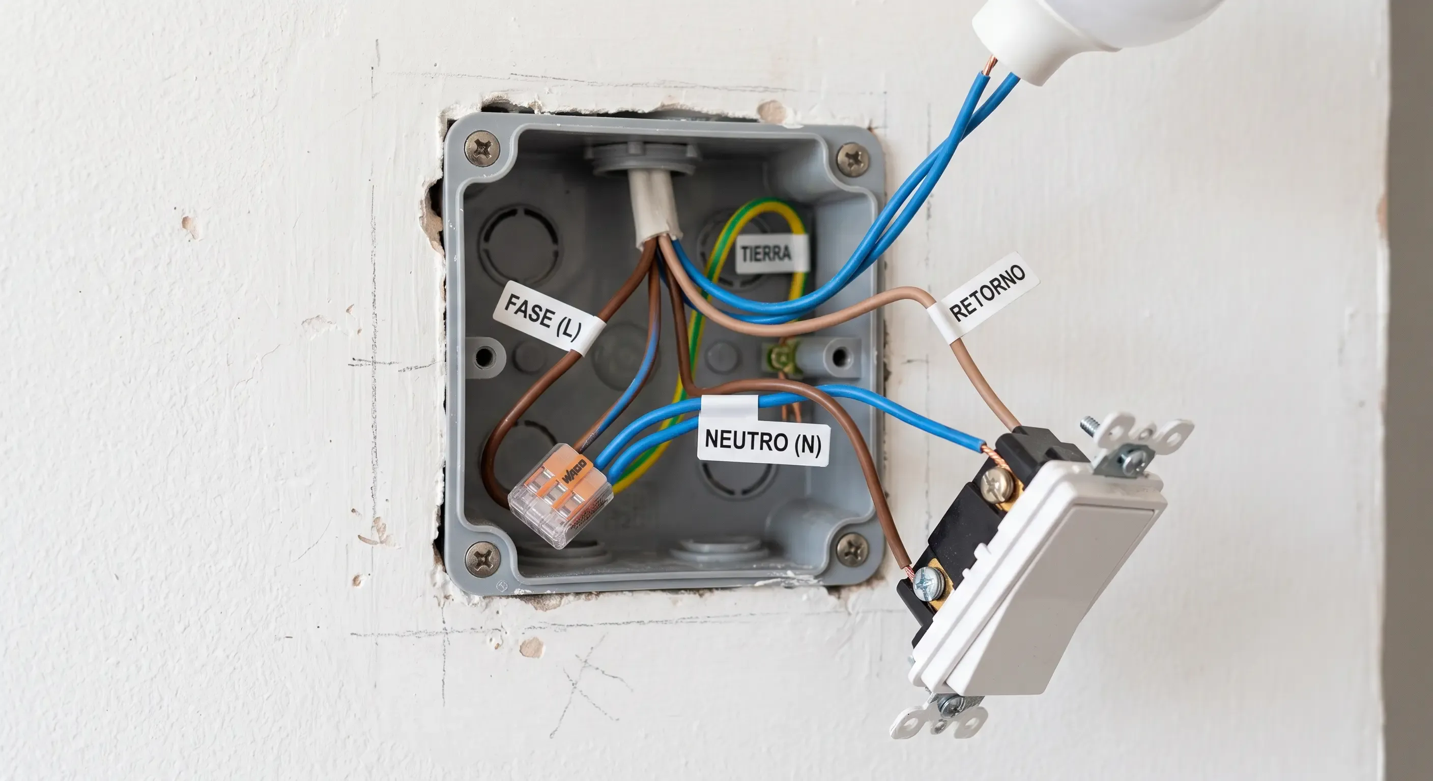 Caja de interruptor abierta mostrando cables de fase, neutro y retorno para identificar la instalación